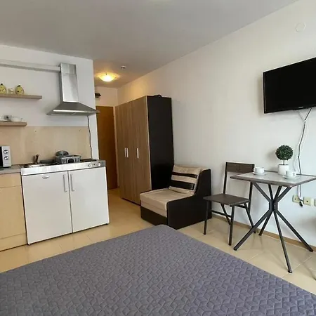 Apartament Cozy Studio In Afrodita I 56 *